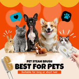 Steam Pet Grooming Brush – Rechargeable Deshedding Comb