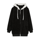 CASHI HOODIE