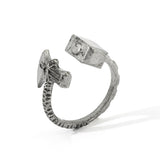 Geometric Rings