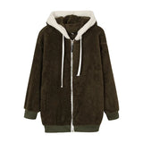 CASHI HOODIE