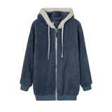 CASHI HOODIE